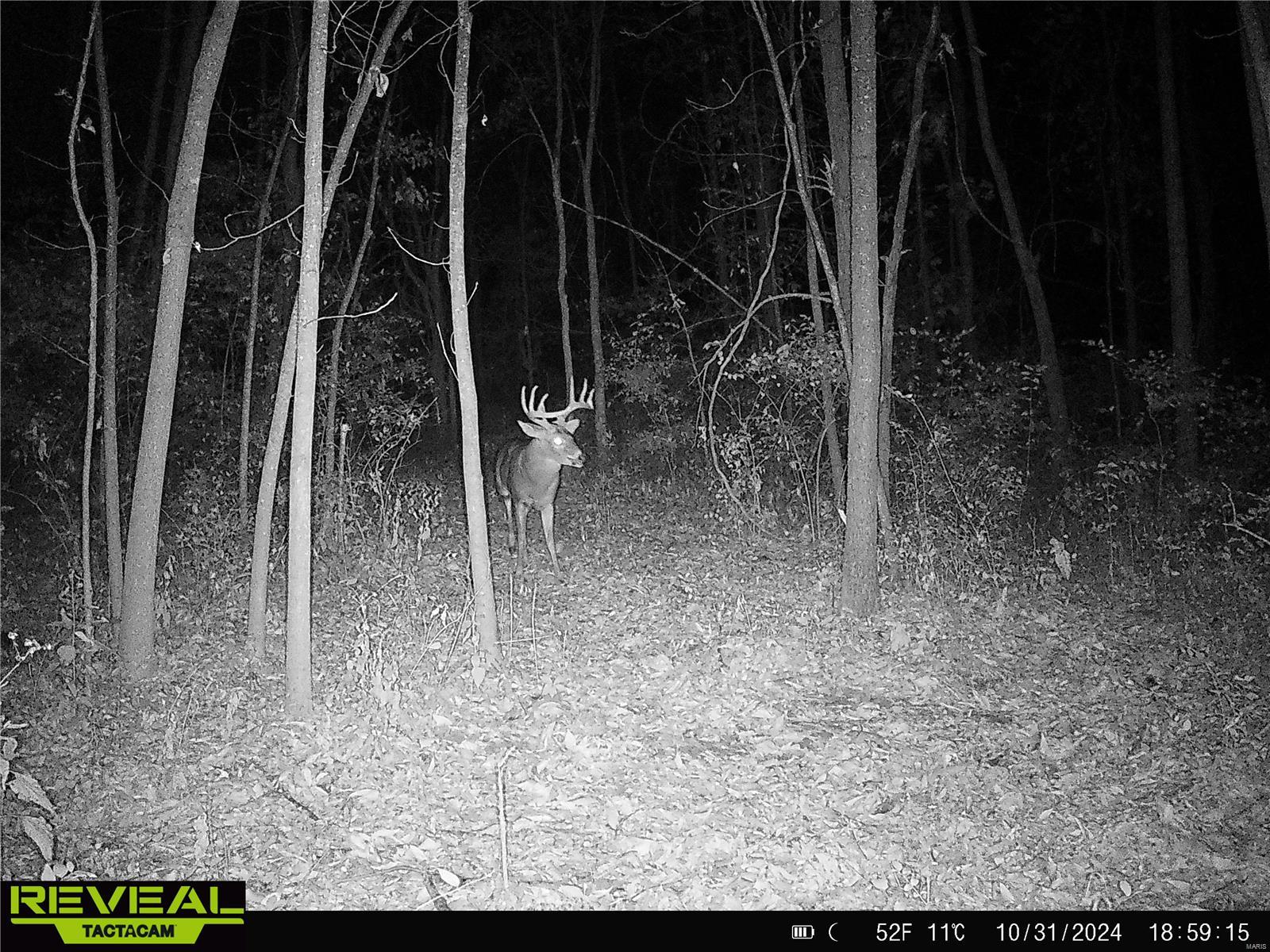 0 Mo-ww Eolia, MO 63344 - Photo 54 of 76