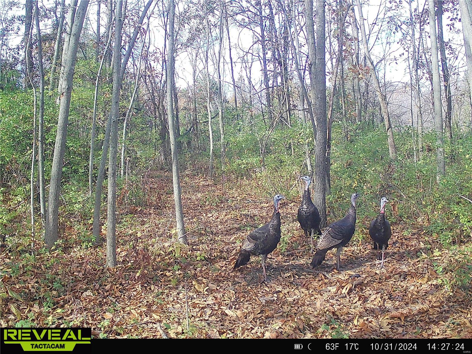 0 Mo-ww Eolia, MO 63344 - Photo 55 of 76