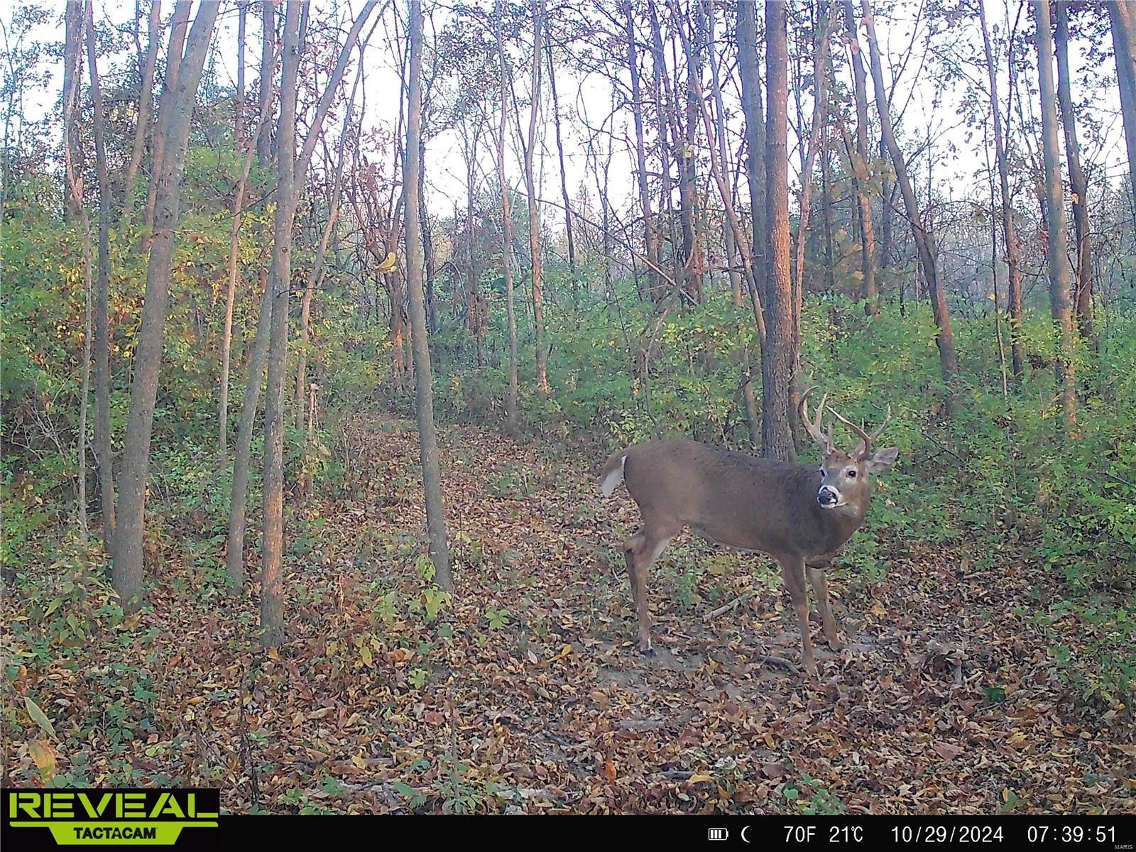 0 Mo-ww Eolia, MO 63344 - Photo 57 of 76