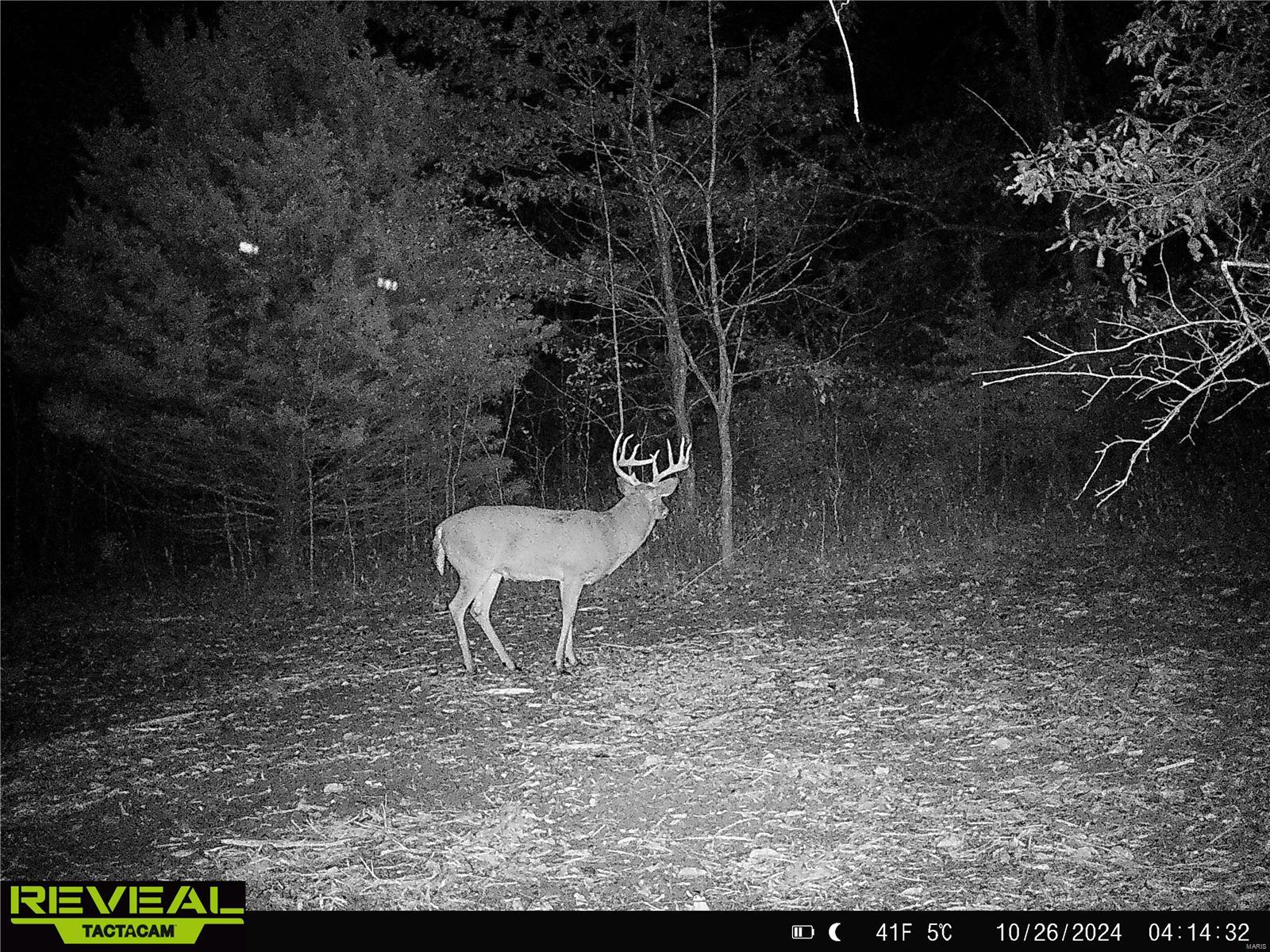 0 Mo-ww Eolia, MO 63344 - Photo 58 of 76