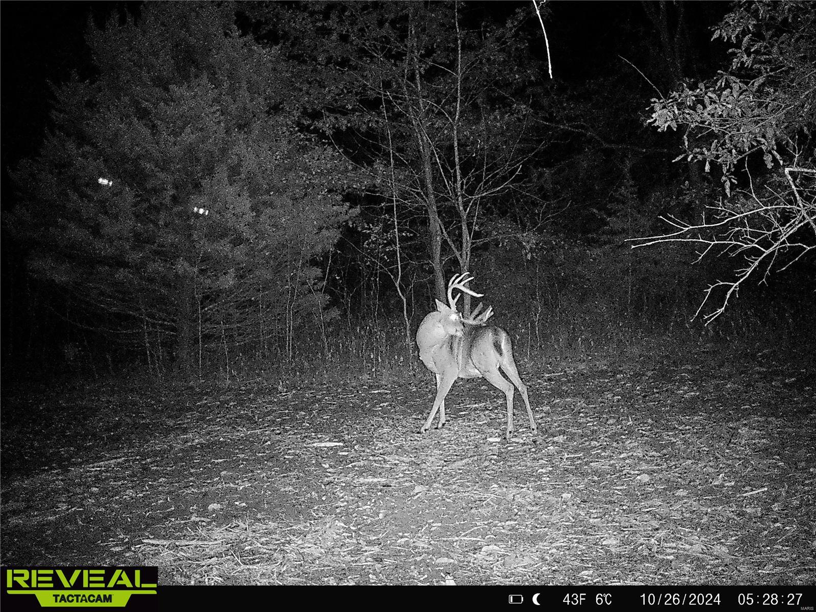 0 Mo-ww Eolia, MO 63344 - Photo 59 of 76