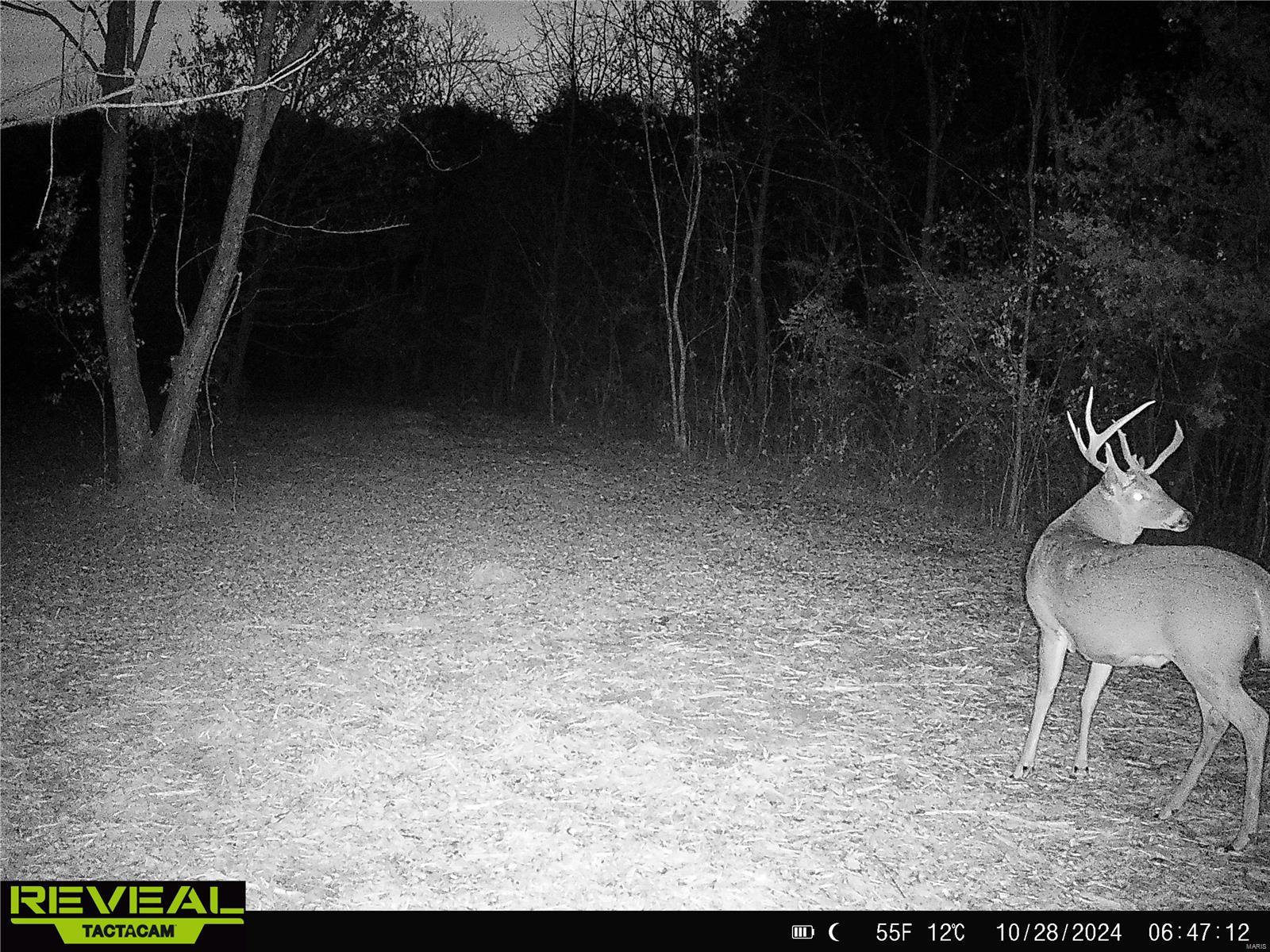 0 Mo-ww Eolia, MO 63344 - Photo 61 of 76