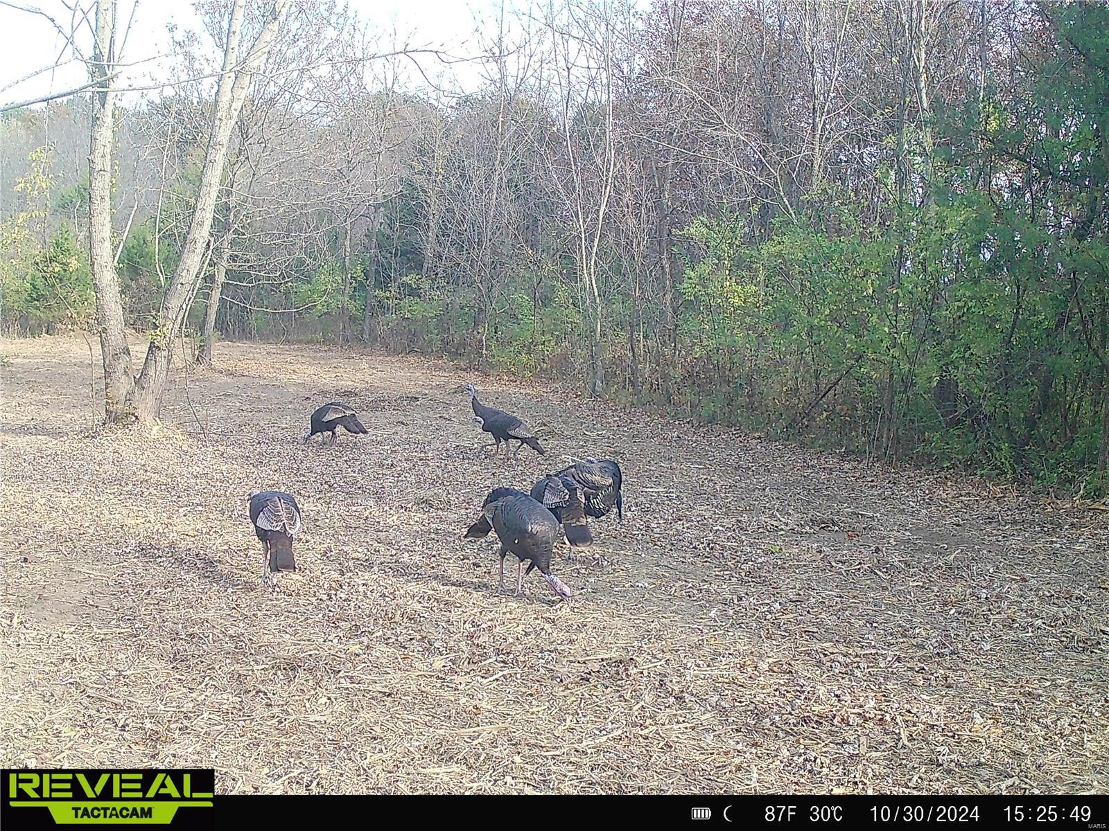 0 Mo-ww Eolia, MO 63344 - Photo 62 of 76