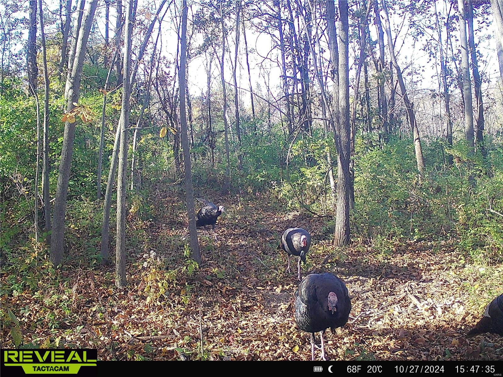 0 Mo-ww Eolia, MO 63344 - Photo 63 of 76