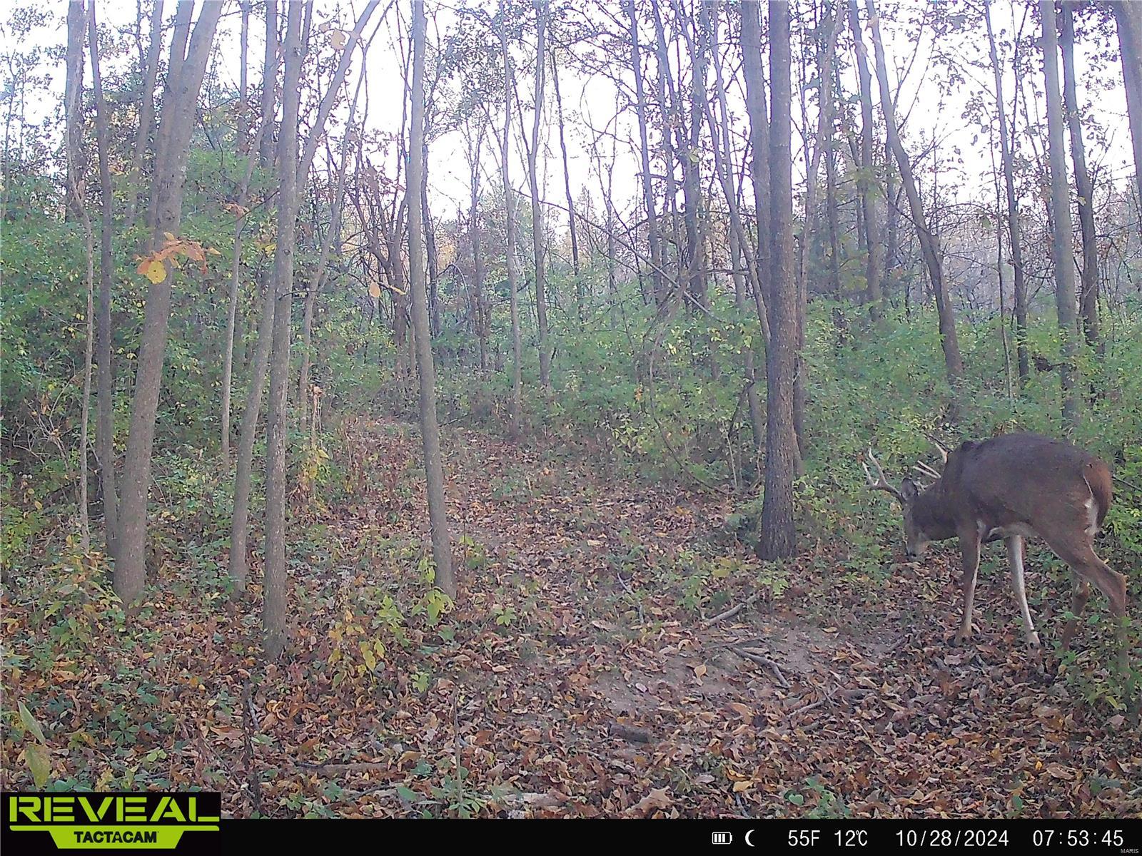 0 Mo-ww Eolia, MO 63344 - Photo 64 of 76