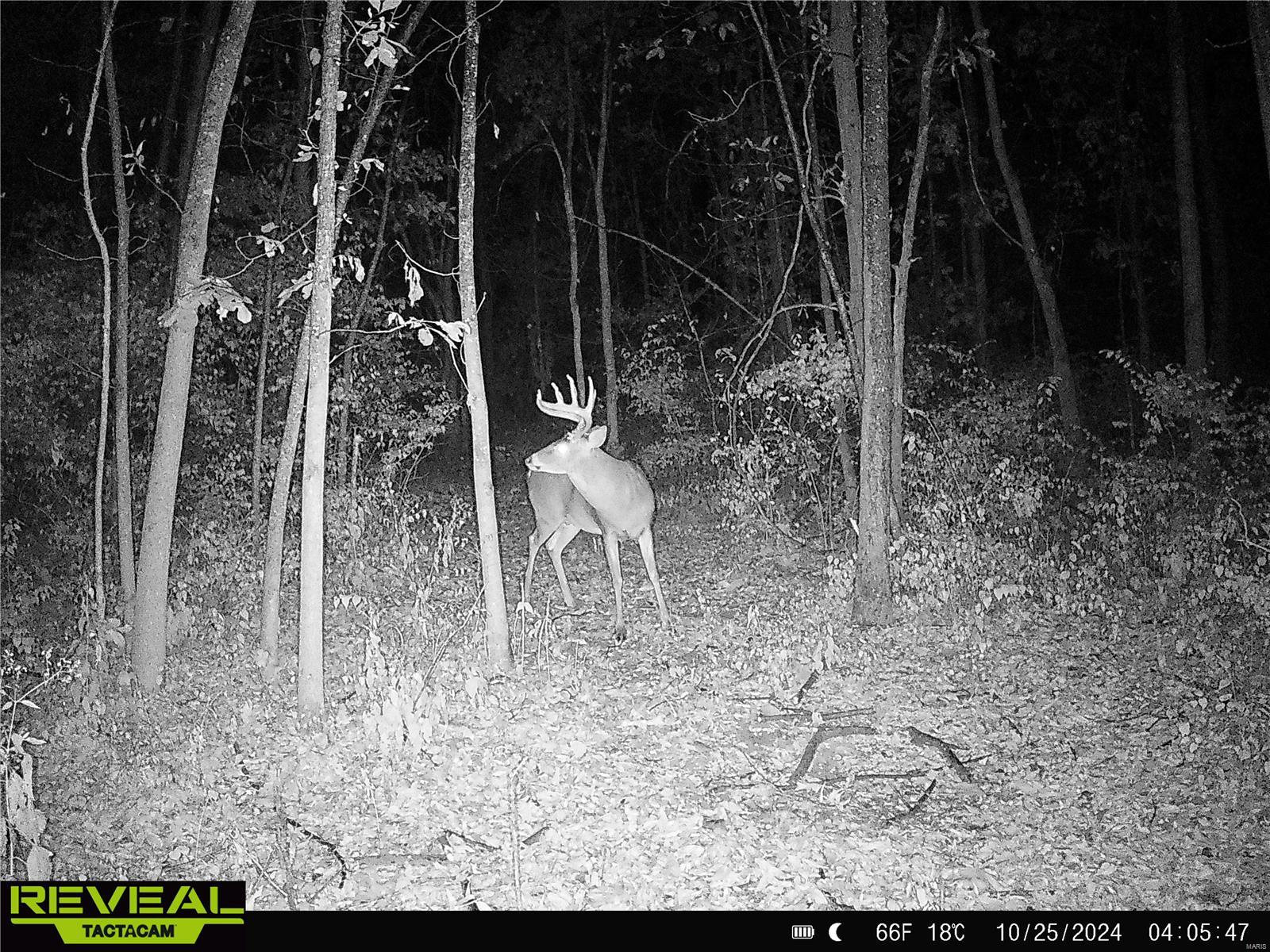 0 Mo-ww Eolia, MO 63344 - Photo 65 of 76