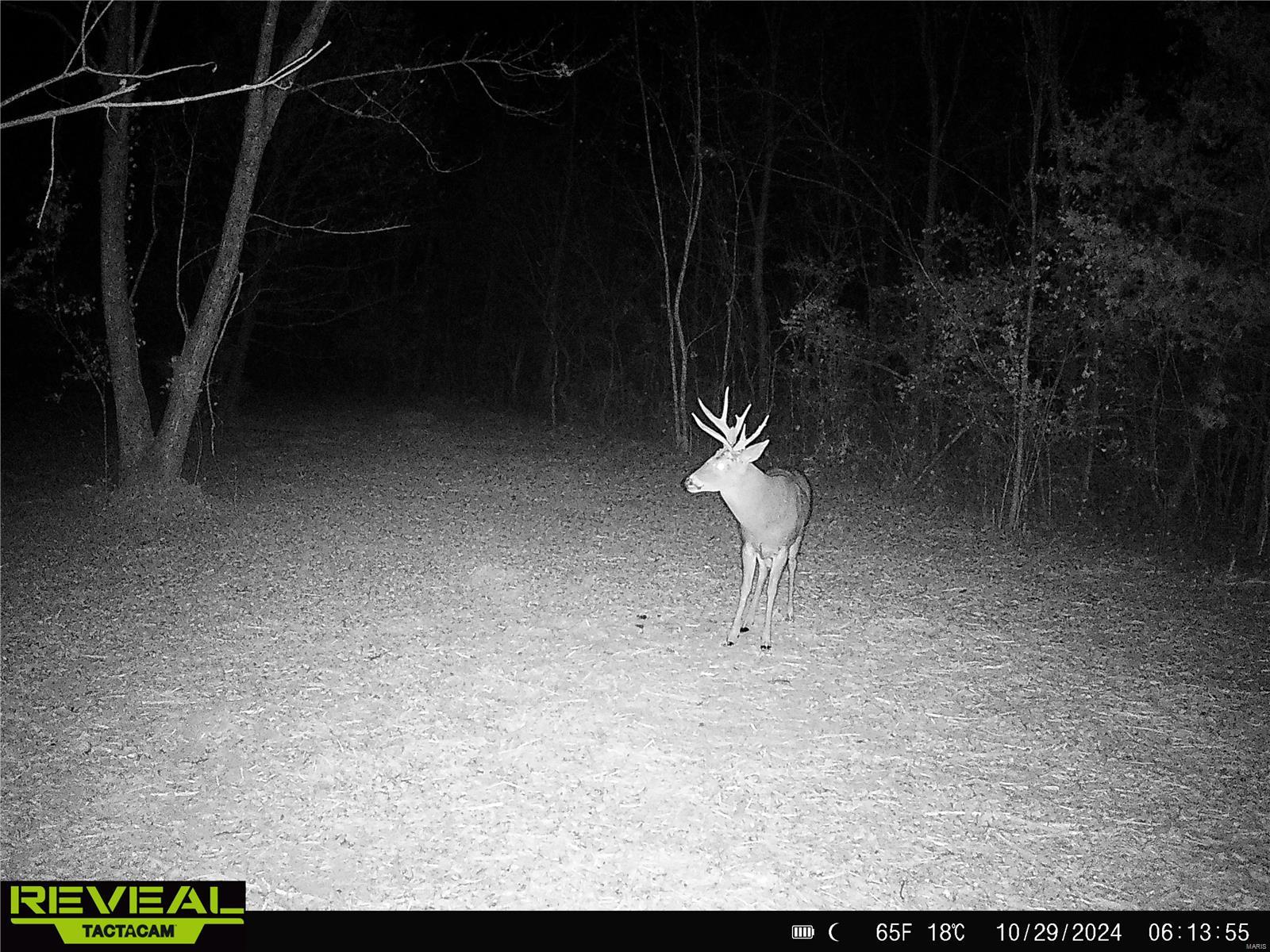 0 Mo-ww Eolia, MO 63344 - Photo 66 of 76