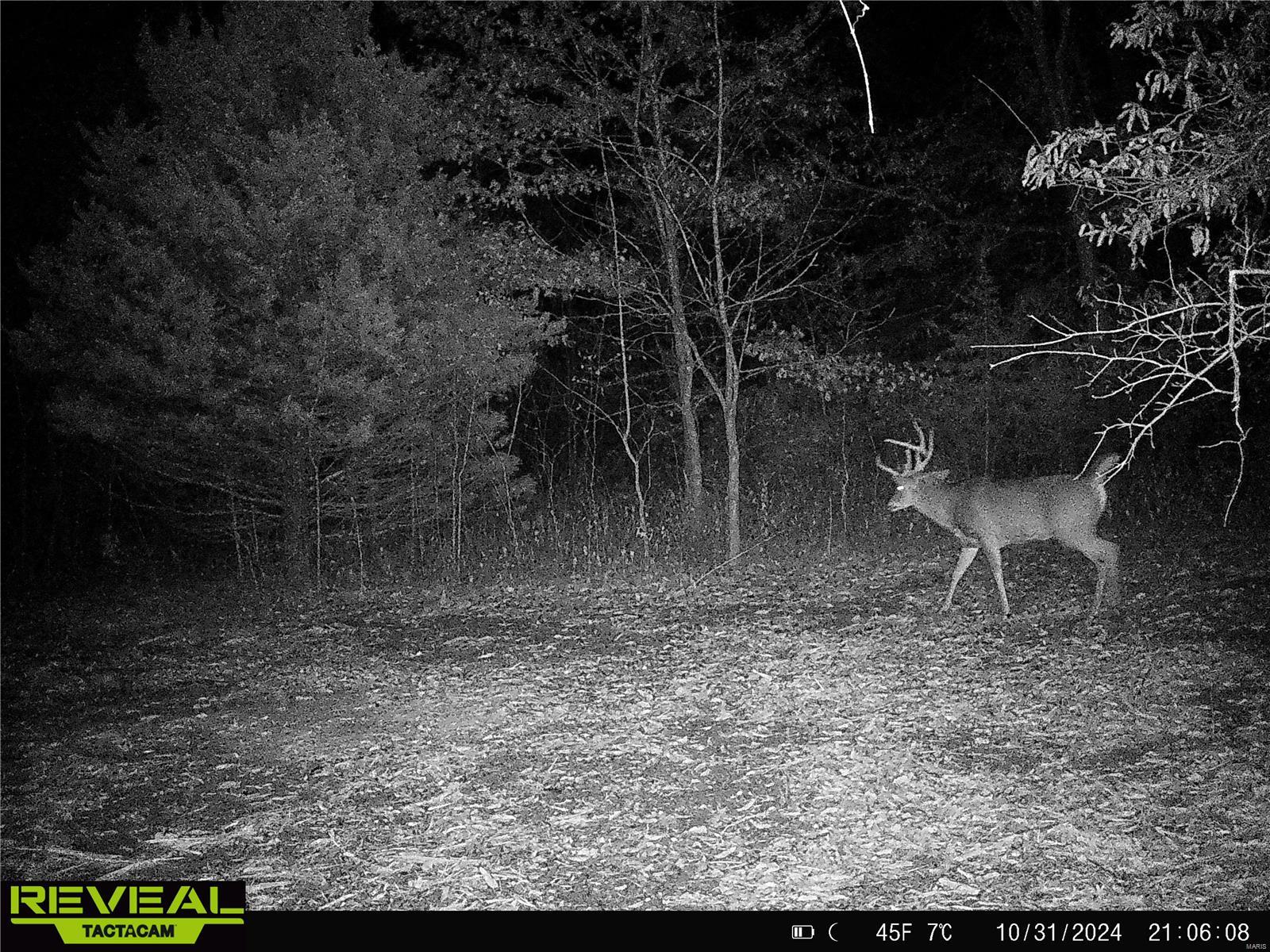 0 Mo-ww Eolia, MO 63344 - Photo 67 of 76