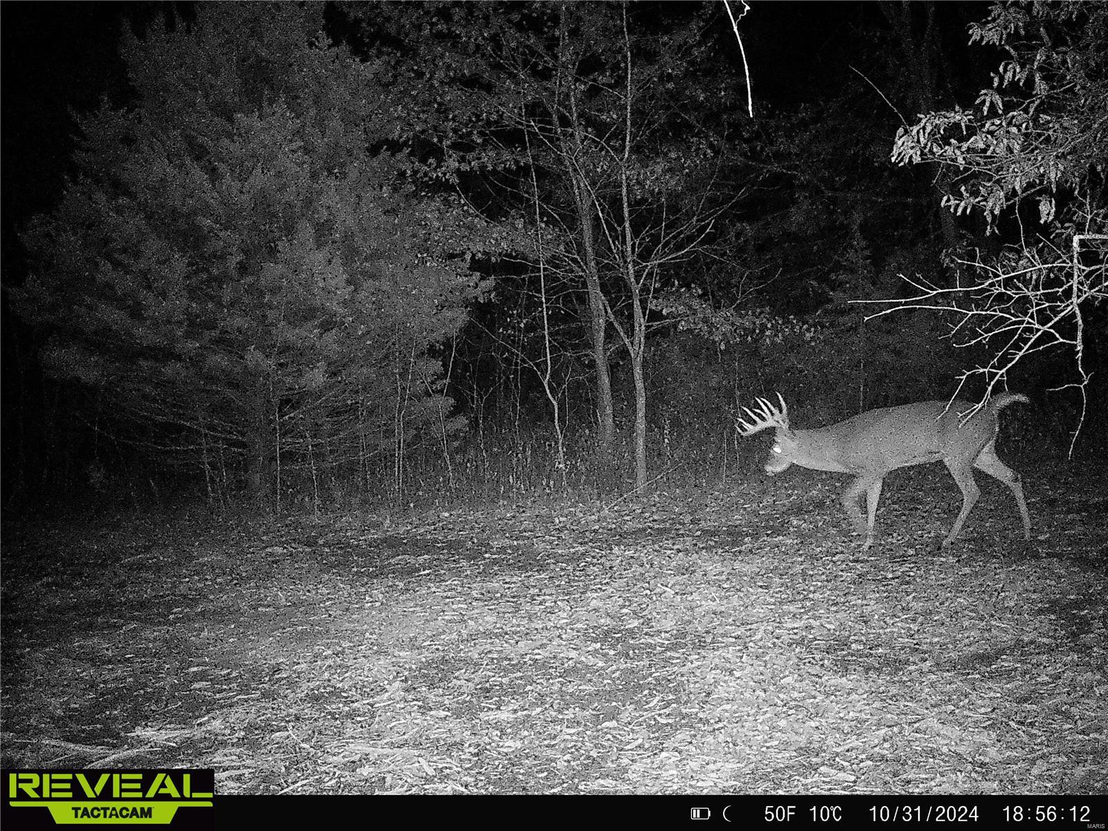 0 Mo-ww Eolia, MO 63344 - Photo 68 of 76