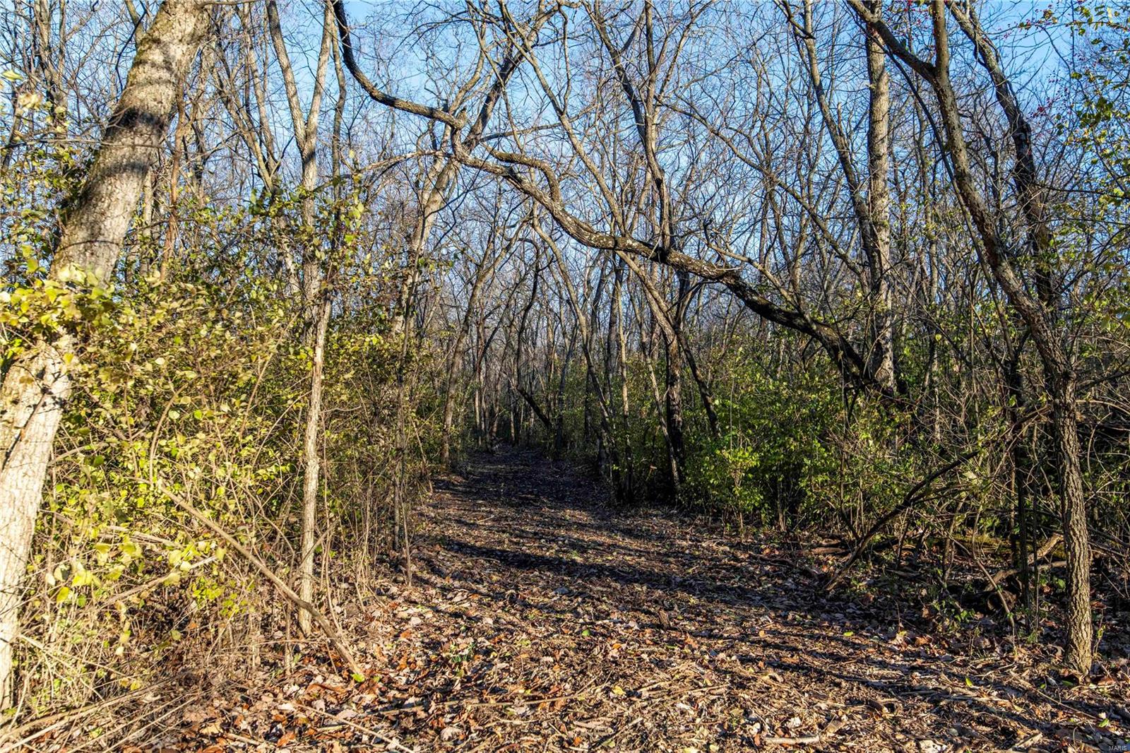 0 Mo-ww Eolia, MO 63344 - Photo 7 of 76