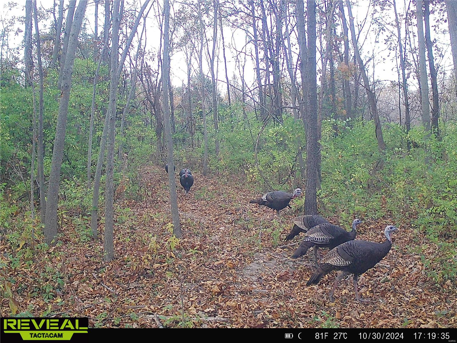 0 Mo-ww Eolia, MO 63344 - Photo 71 of 76