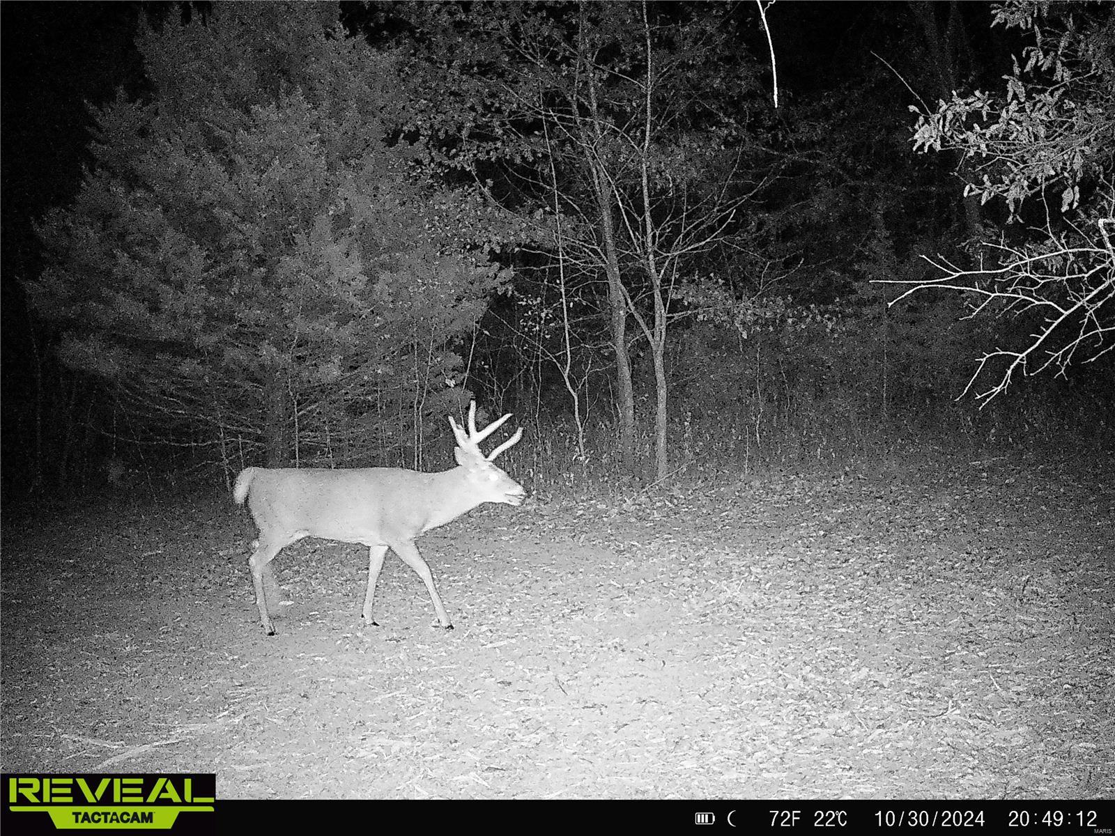 0 Mo-ww Eolia, MO 63344 - Photo 72 of 76