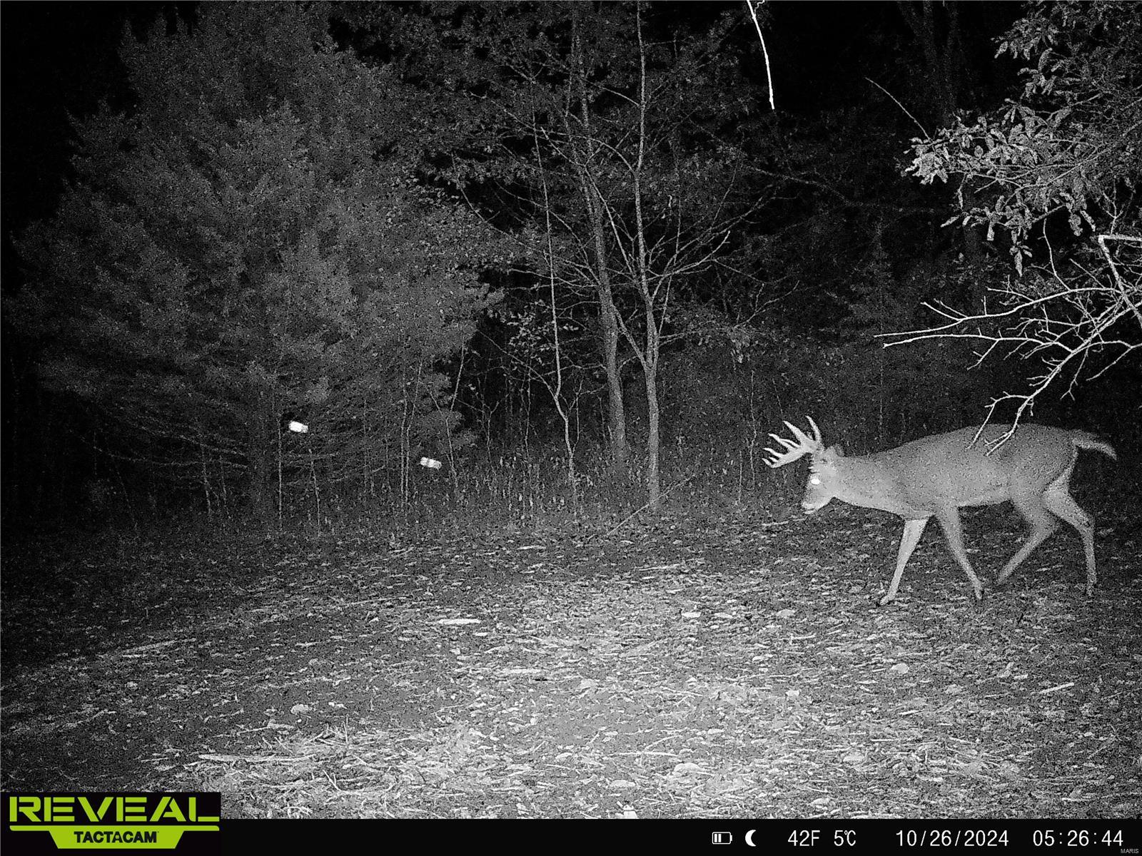 0 Mo-ww Eolia, MO 63344 - Photo 73 of 76