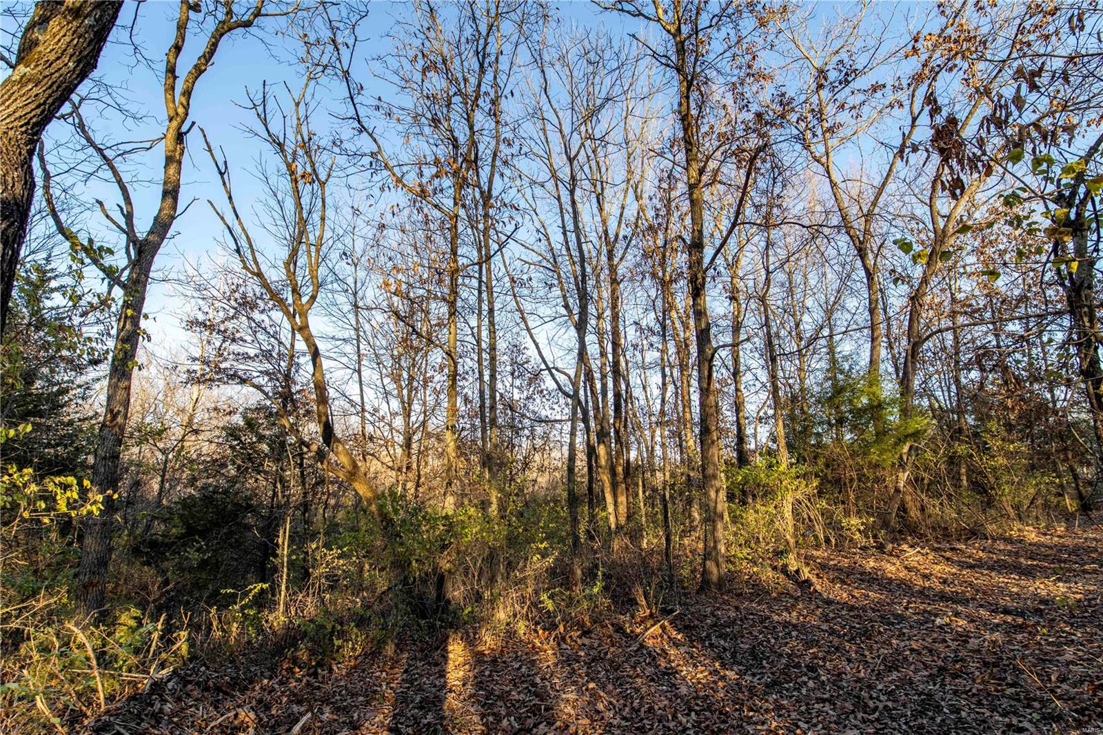 0 Mo-ww Eolia, MO 63344 - Photo 10 of 76