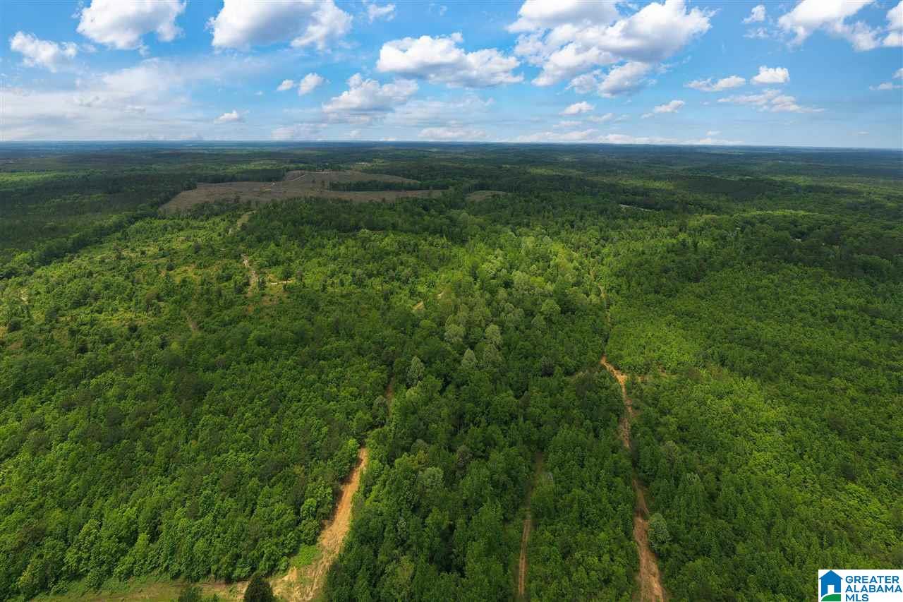 5936 Montevallo Road Centreville, AL 35042 - Photo 31 of 35