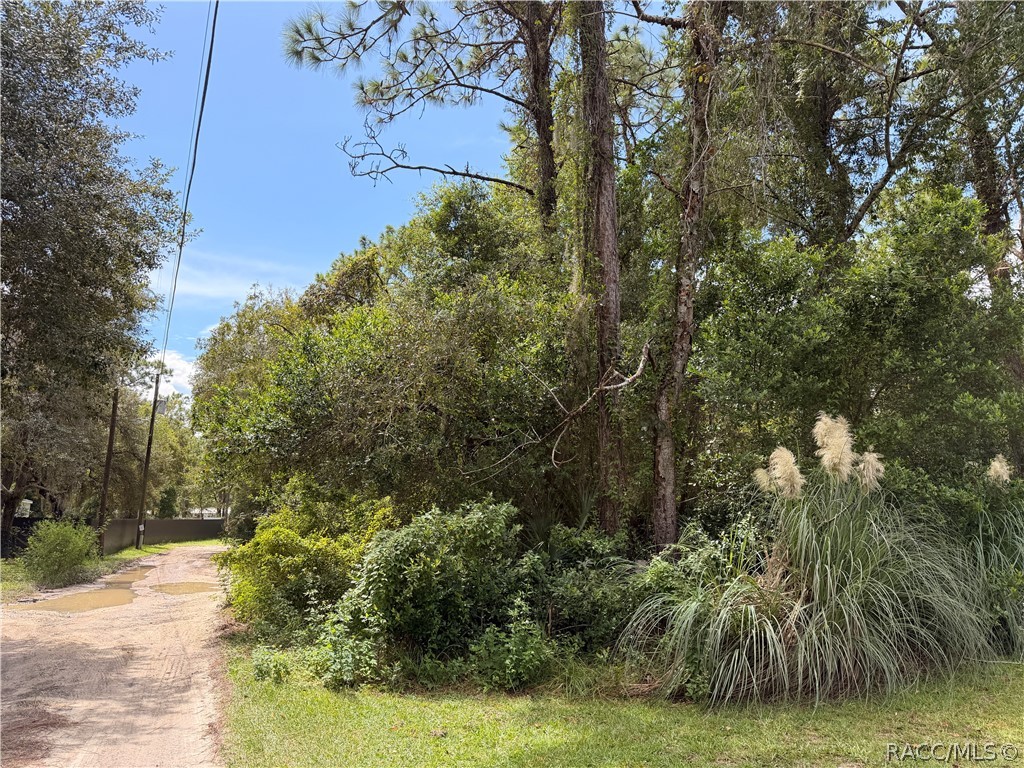 5710 South Leopard Point Homosassa, FL 34446 - Photo 10 of 10 Gallery Image 10