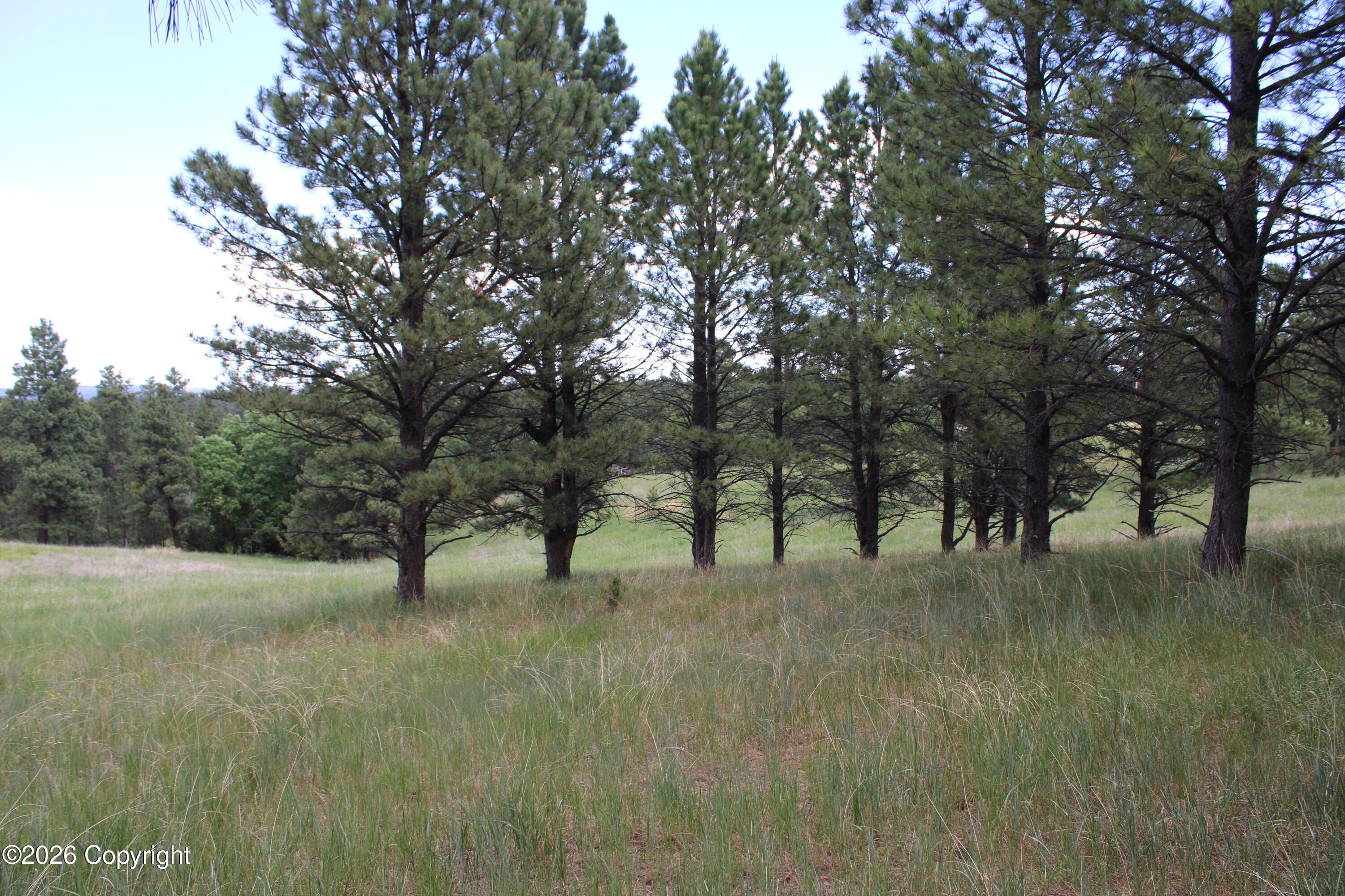13 River Road Alva, WY 82711 - Photo 19 of 26 Gallery Image 19