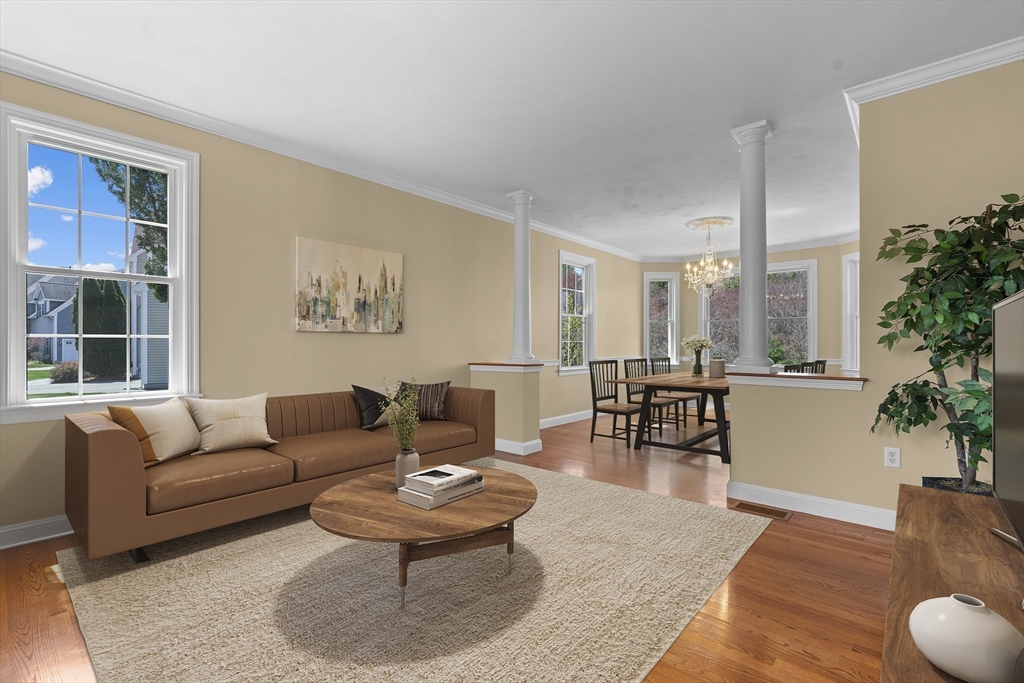 18 Ridgewood Street Ashland, MA 01721 - Photo 10 of 40 a living room with furniture and a potted plant