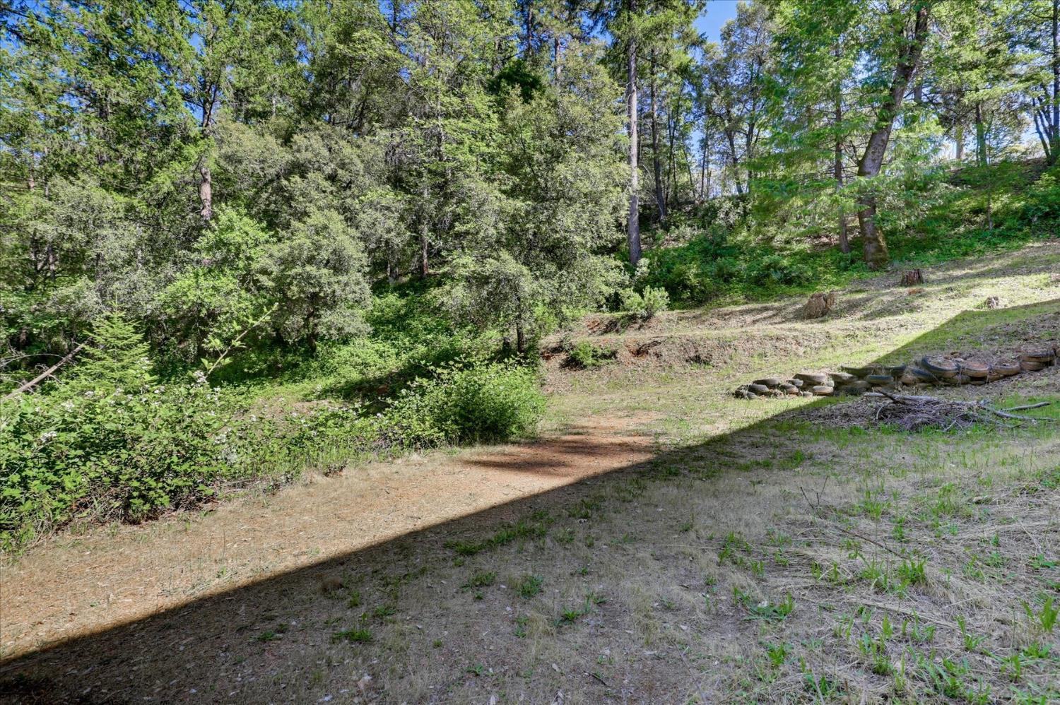 27398 Cape Horn Road Colfax, CA 95713 - Photo 49 of 57