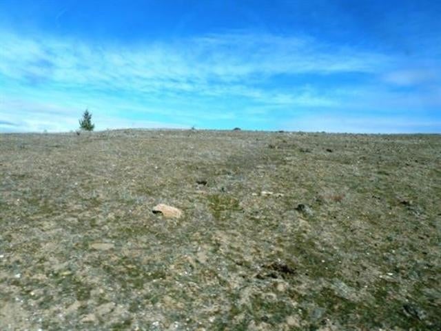 Lot 1 Grandview Road Montague, CA 96064 - Photo 3 of 8 Gallery Image 3