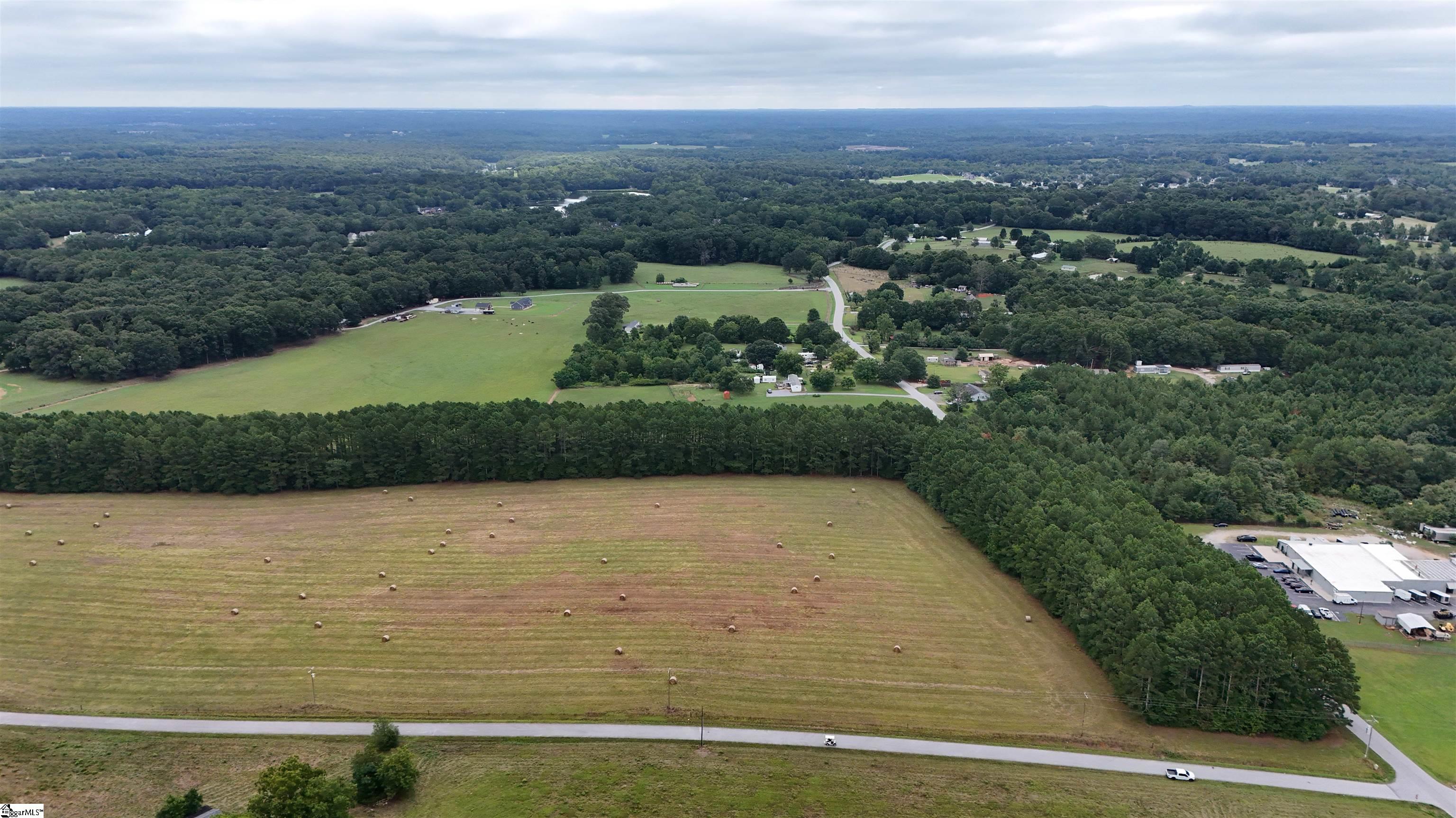 0 Richey Road, Unit LOT 3 Pelzer, SC 29669 - Photo 3 of 10 Gallery Image 3