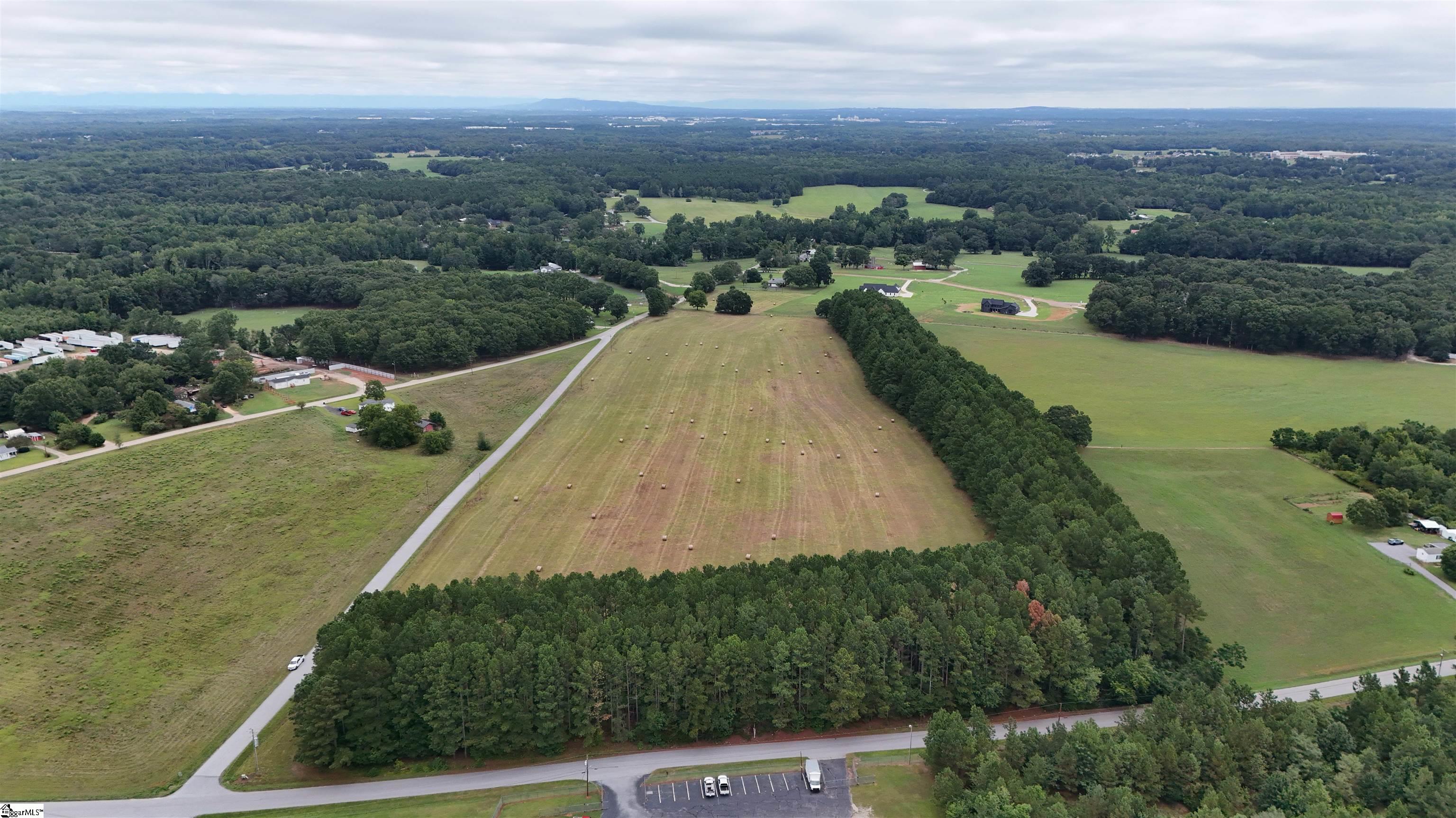 0 Richey Road, Unit LOT 3 Pelzer, SC 29669 - Photo 3 of 10