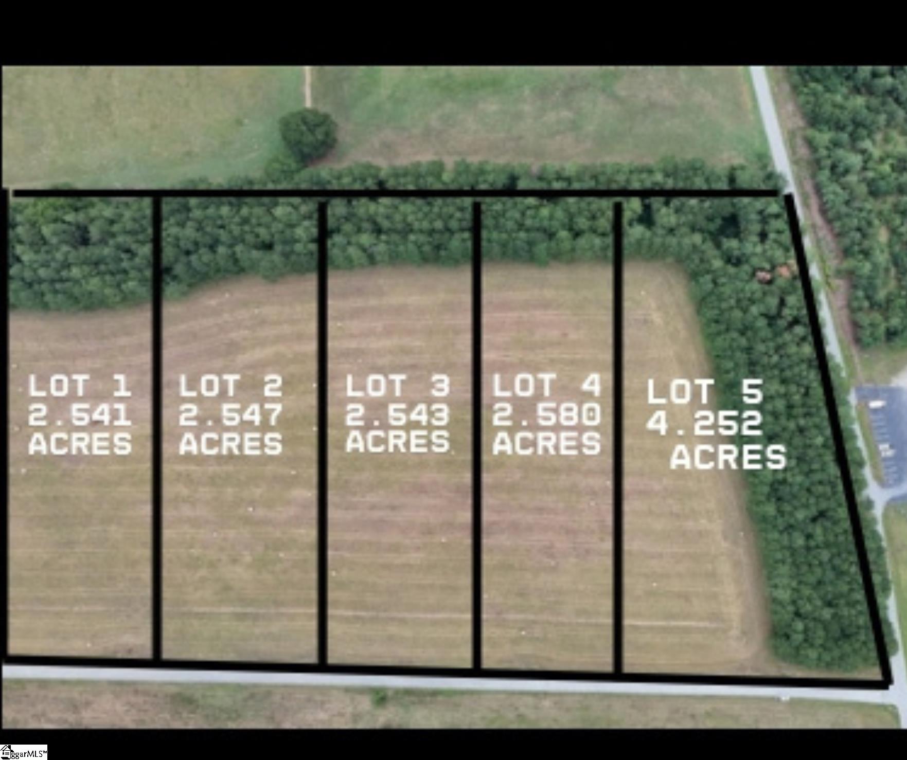 0 Richey Road, Unit LOT 3 Pelzer, SC 29669 - Photo 10 of 10