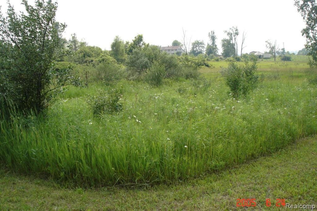 5931 Lippincott Road Lapeer, MI 48446 - Photo 42 of 54 Acreage W. 4