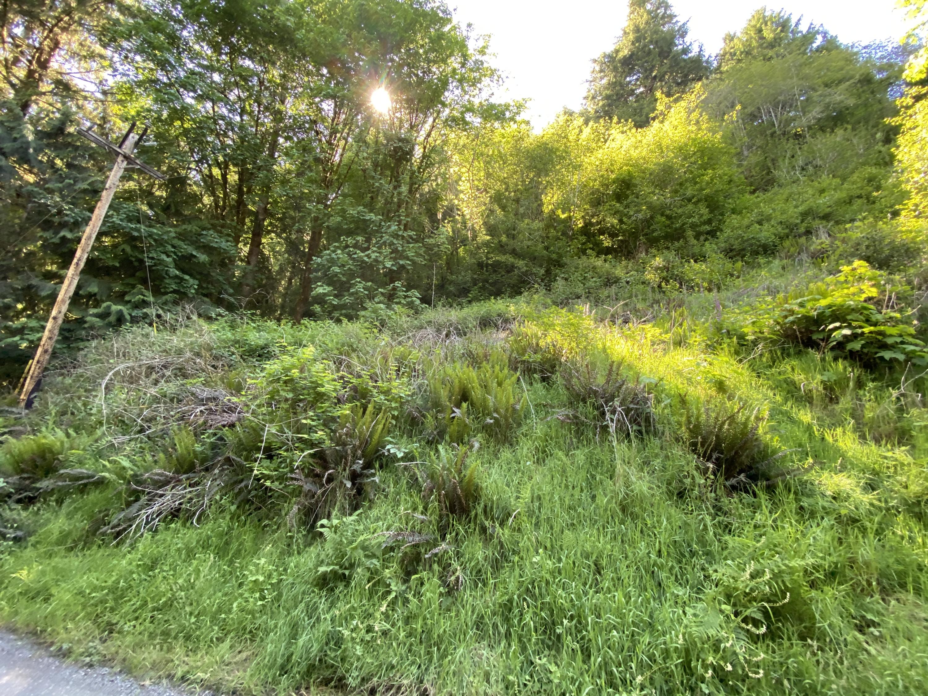 West Point Drive Nehalem, OR 97131 - Photo 15 of 19 Photo Jun 09, 4 22 11 PM