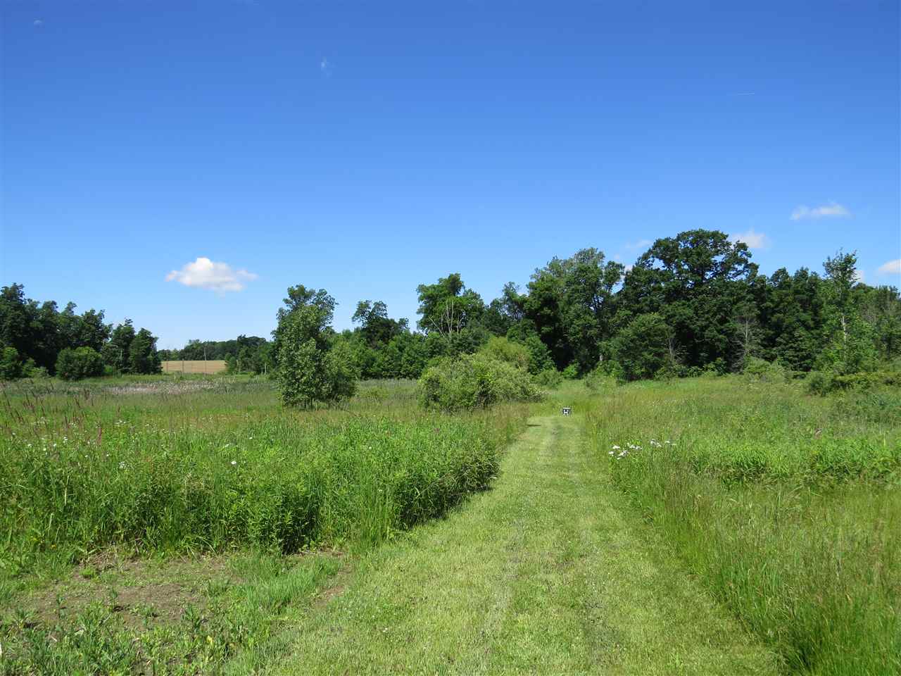 8754 South Byron Road Gaines, MI 48436 - Photo 40 of 52