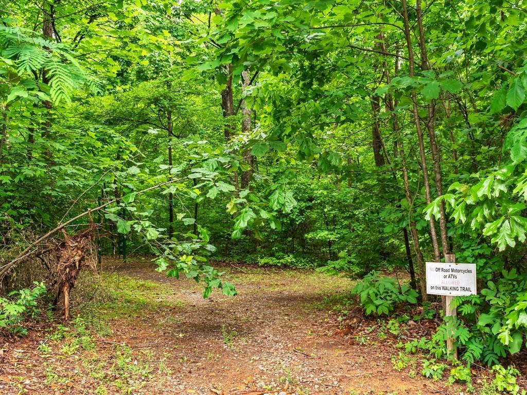 234 Stirratt Road Ranger, GA 30734 - Photo 12 of 18