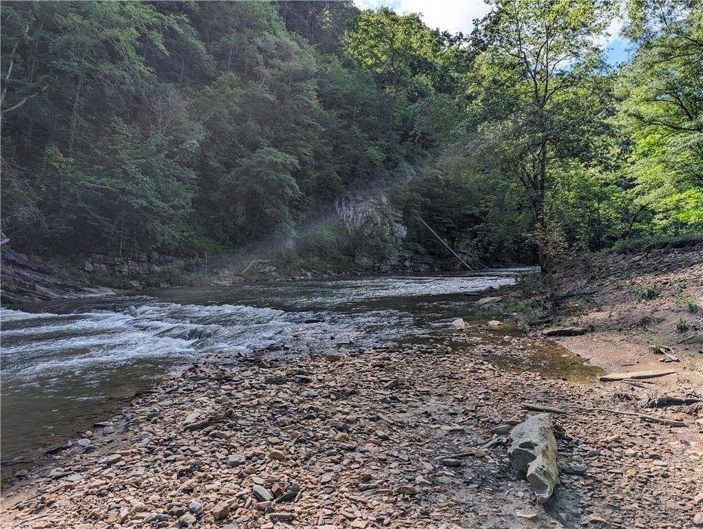 234 Stirratt Road Ranger, GA 30734 - Photo 15 of 18