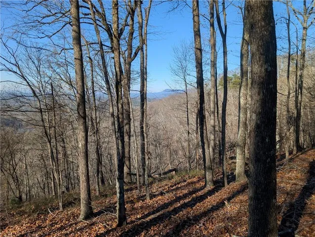 $39,000 | 234 Stirratt Road, Ranger, GA 30734