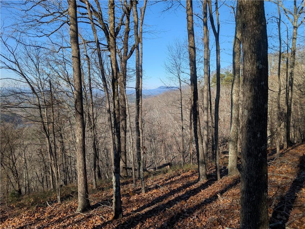 234 Stirratt Road Ranger, GA 30734 - Photo 2 of 18