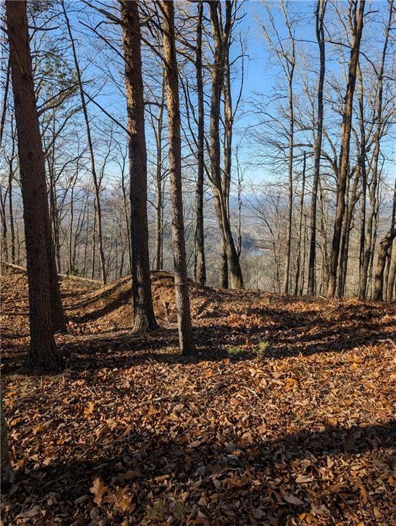 234 Stirratt Road Ranger, GA 30734 - Photo 3 of 18