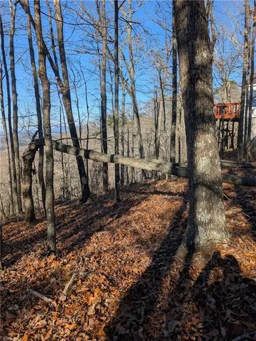 $39,000 | 234 Stirratt Road, Ranger, GA 30734