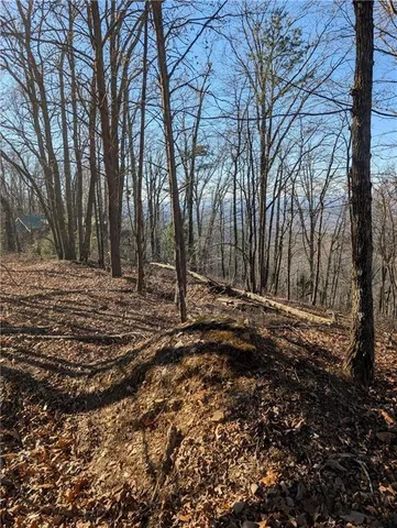 $39,000 | 234 Stirratt Road, Ranger, GA 30734