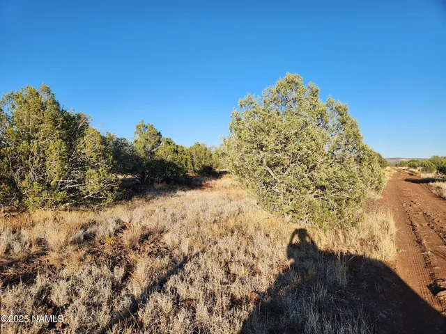 $15,000 | 3405 West Pinto Drive, Williams, AZ 86046