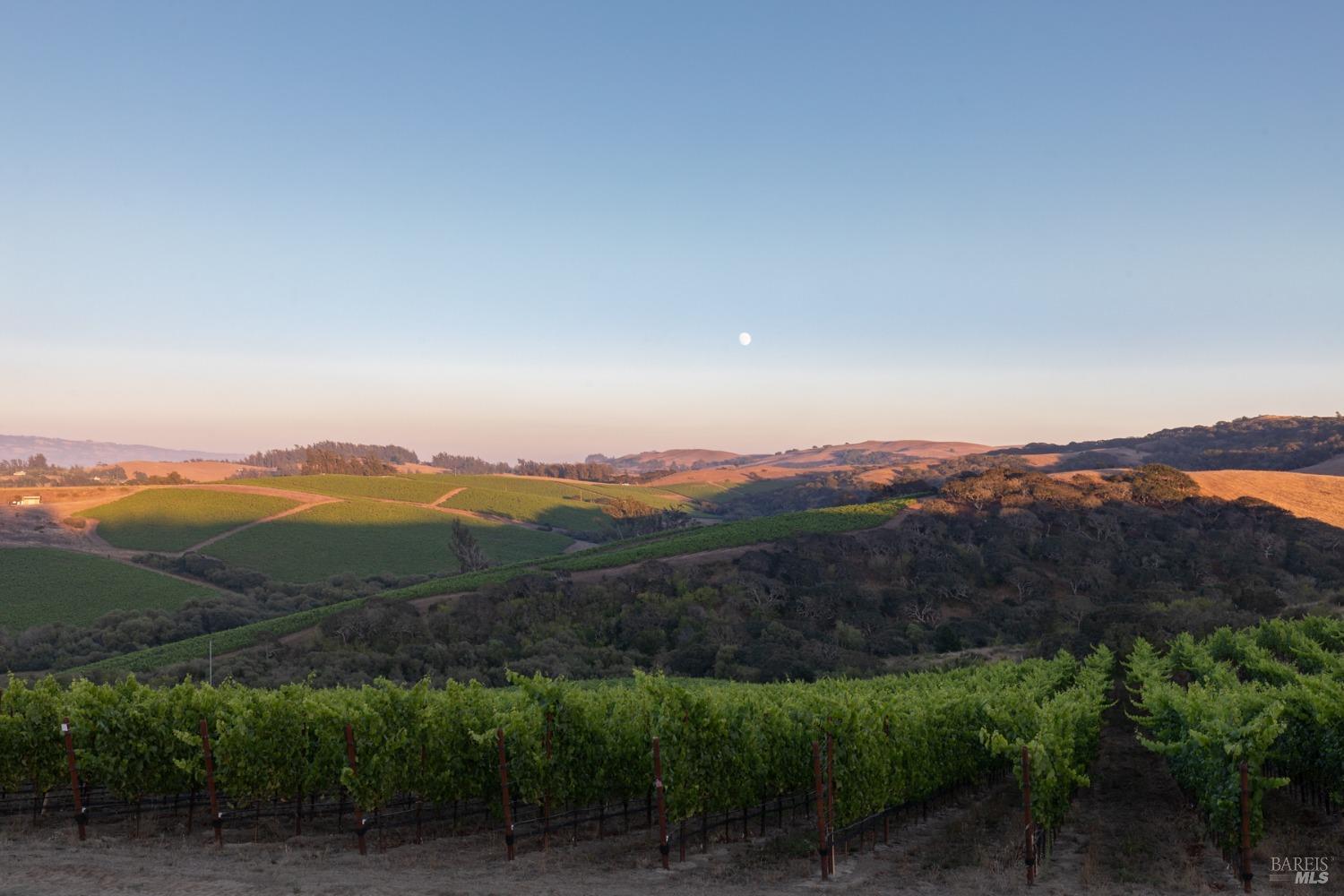 3545 Bloomfield Road Sebastopol, CA 95472 - Photo 28 of 28