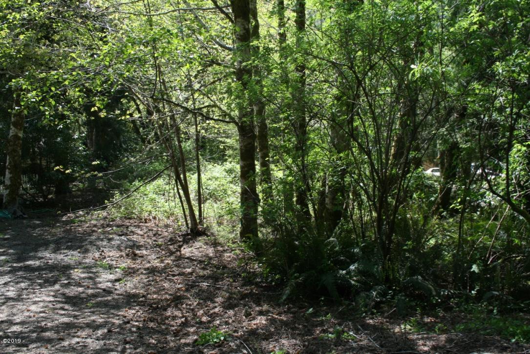 2600 North New Bridge Road Otis, OR 97368 - Photo 2 of 6 Lovely Treed Lot