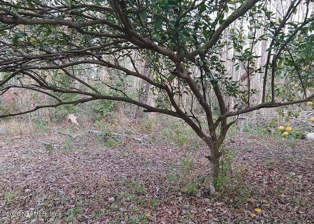 95344 Marc Anthony Road Fernandina Beach, FL 32034 - Photo 8 of 18 genMid.1033730_14_6