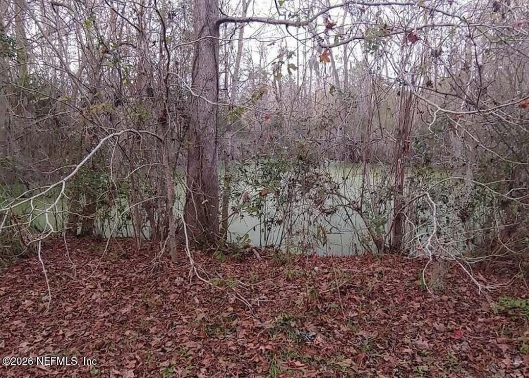 95344 Marc Anthony Road Fernandina Beach, FL 32034 - Photo 9 of 18 genMid.1033730_18_6