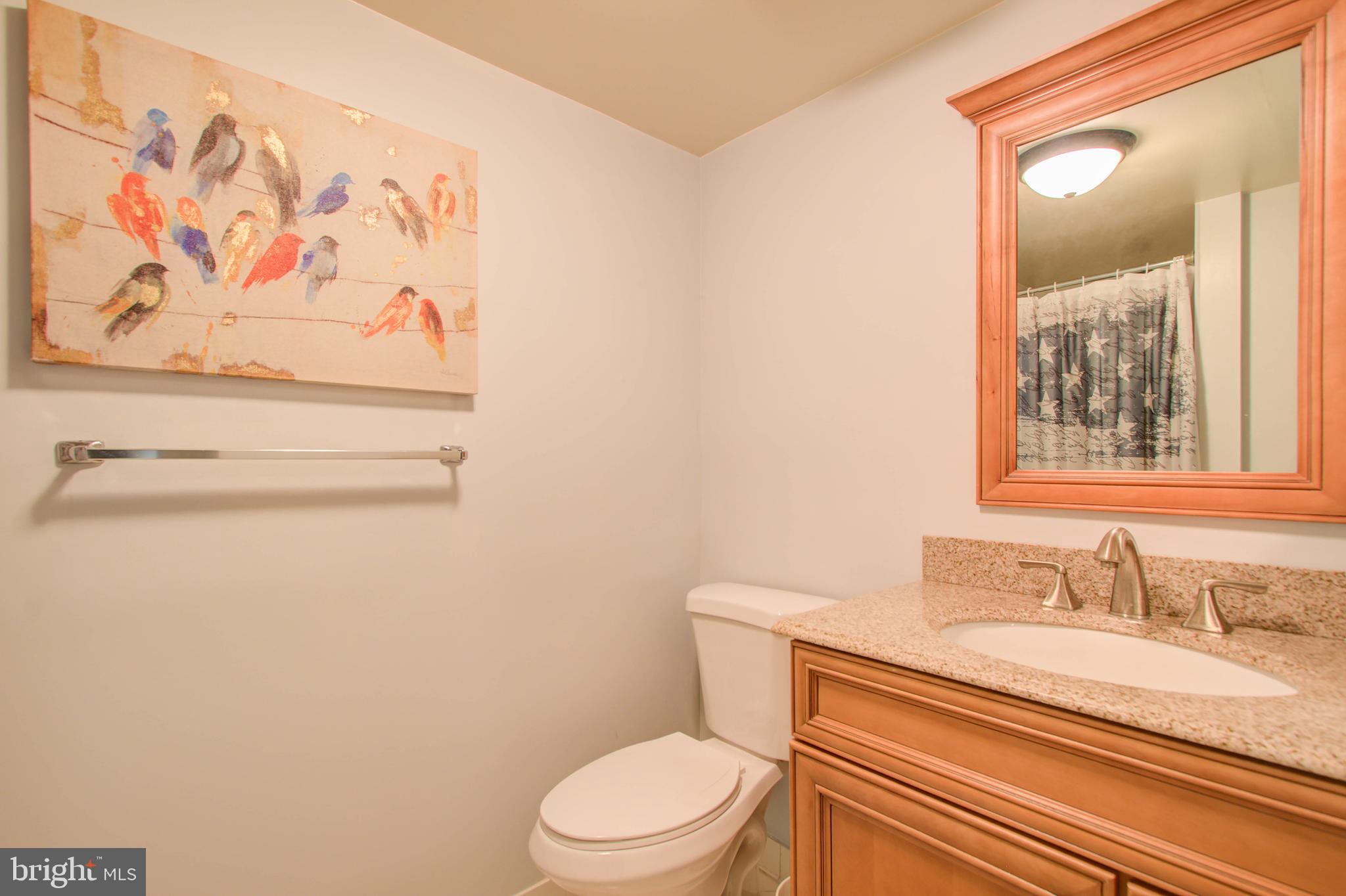 7008 Greentree Road Bethesda, MD 20817 - Photo 35 of 39 Lower LEvel Full Bath