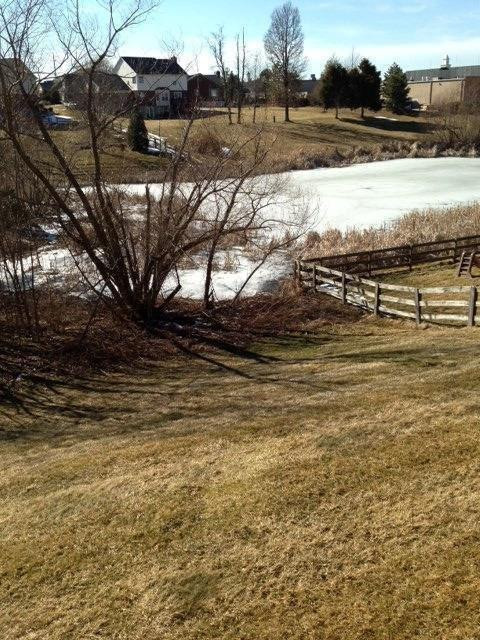 8783 Richmond Road Union, KY 41091 - Photo 22 of 25 Gallery Image 22