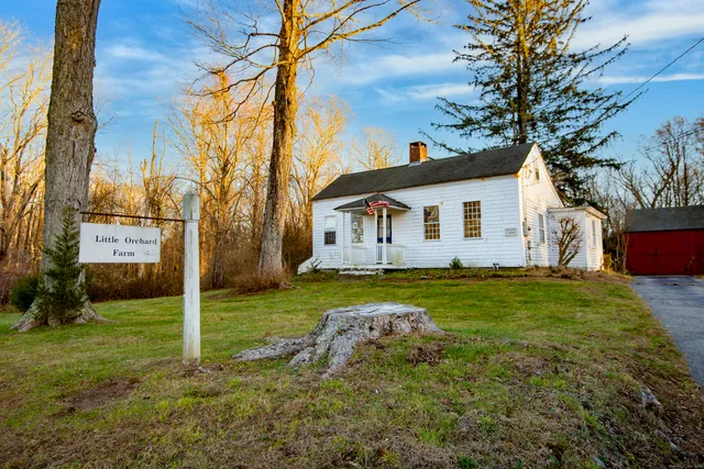 a view of a backyard with plants and large tree