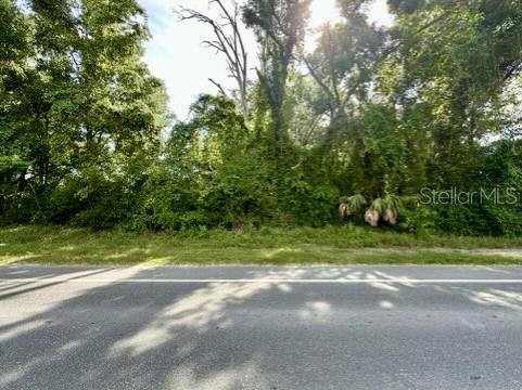 South Main Street Bell, FL 32619 - Photo 1 of 4 a view of a field of grass and trees
