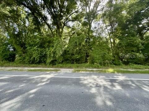 South Main Street Bell, FL 32619 - Photo 2 of 4 a view of a yard with a large trees