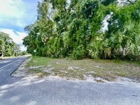 a view of a yard with a tree