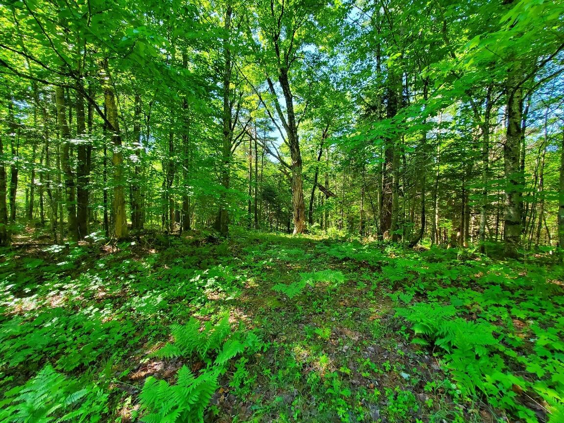 92 Huff Road Cornville, ME 04976 - Photo 107 of 121 walking east