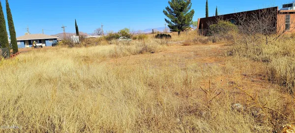 $20,900 | Lot 2 North Ford Street, Unit 2, Pearce, AZ 85625